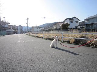 IMG_0021.JPG