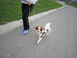IMG_0483.JPG