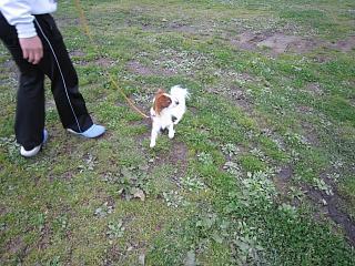 IMG_0486.JPG