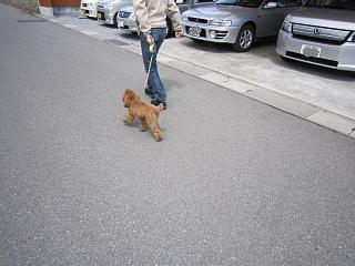 IMG_0549.JPG