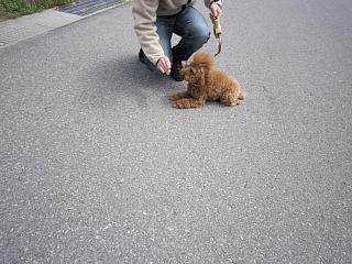 IMG_0555.JPG