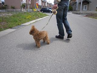 IMG_0558.JPG