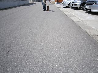 IMG_0561.JPG