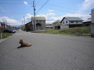 IMG_0562.JPG