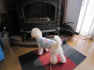IMG_0760.JPG