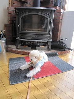 IMG_0762.JPG