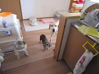 IMG_2136.JPG