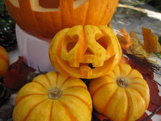 IMG_2558.JPG