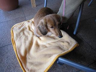 IMG_3341.JPG