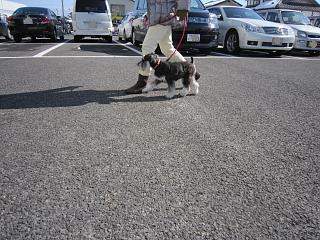 IMG_3518.JPG