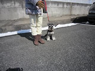 IMG_3519.JPG