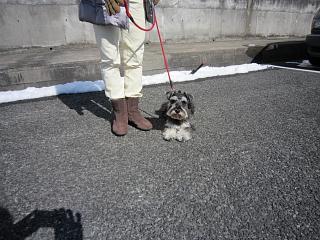 IMG_3521.JPG