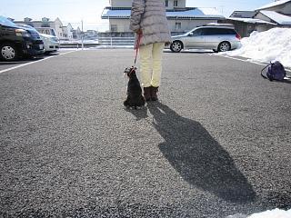 IMG_3525.JPG