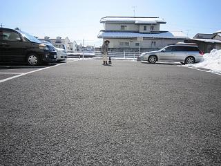 IMG_3527.JPG