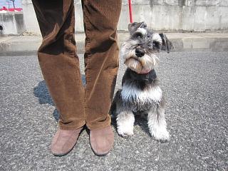 IMG_3860.JPG