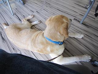 IMG_0030.JPG