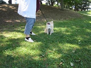 IMG_0039.JPG