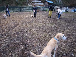 IMG_0067.JPG