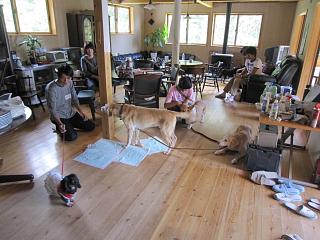 IMG_0083.JPG