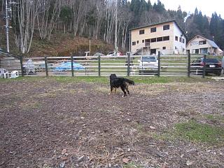 IMG_0085.JPG