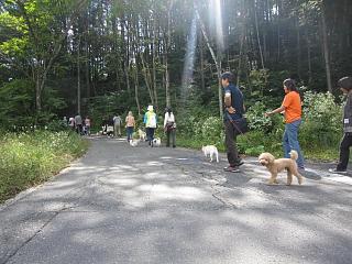 IMG_0097.JPG