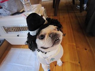 IMG_0098.JPG
