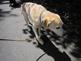IMG_0099.JPG