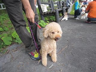 IMG_0116.JPG