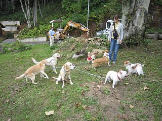 IMG_0132.JPG