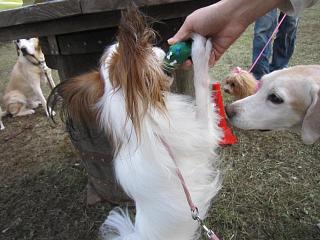 IMG_0167.JPG