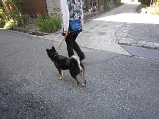 IMG_0226.JPG