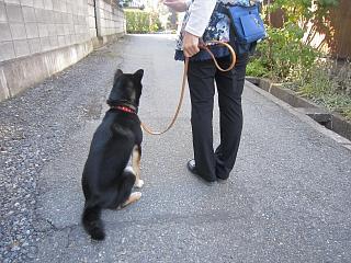 IMG_0237.JPG