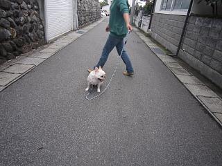 IMG_0245.JPG