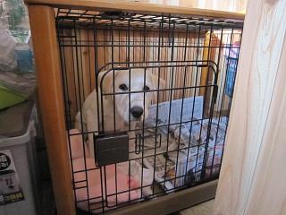 IMG_045.JPG