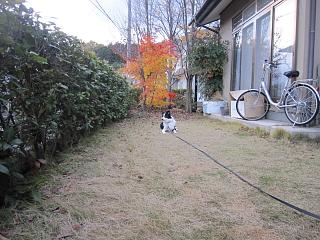 IMG_0631.JPG