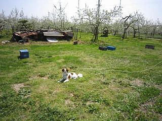IMG_0671.JPG