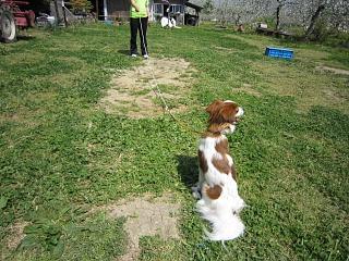 IMG_0673.JPG