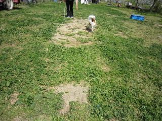 IMG_0674.JPG