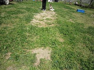 IMG_0675.JPG