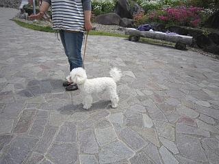 IMG_068.JPG