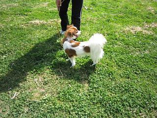 IMG_0683.JPG