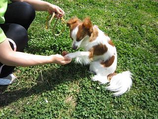IMG_0686.JPG
