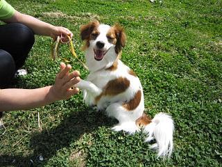 IMG_0689.JPG