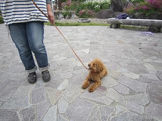 IMG_078.JPG