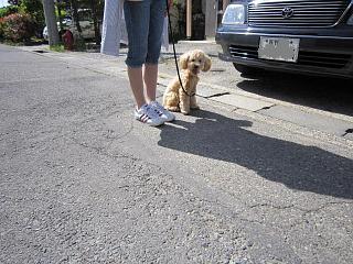 IMG_0793.JPG