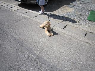 IMG_0797.JPG
