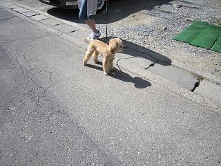 IMG_0799.JPG