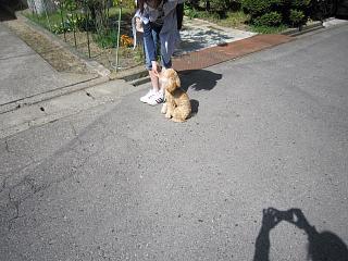 IMG_0802.JPG