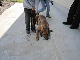 IMG_0823.JPG