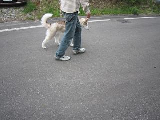IMG_0961.JPG